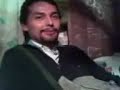gavilan o paloma/   br1arn