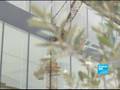 FRANCE24-FR-Reportage- Les statues de l'Acropole ...