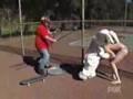 Los jackass