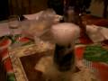 videos de videos 006