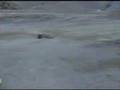 Hellfire, savage and Lightning 2rr hillclimbing