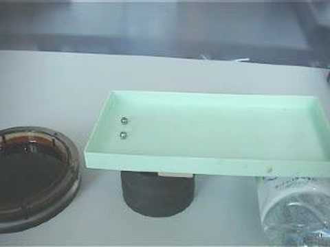 Magnetic Fluid Model