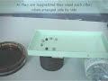 magnetic-fluid-model.html