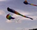 Pesta Layang-Layang Pasir Gudang 2007