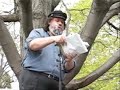 Martín Espada recites Alabanza: In Praise of Local 100