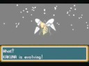 Evolution- (a short) Evolution- (a short)