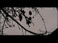 Kamienie na szaniec - ?mierc Rudego ( I ) Kamienie na szaniec - ?mierc Rudego ( I )