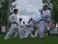 shotokan karate bemutató 2   péter pál nap 2006