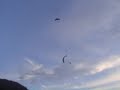 Olu Deniz Beach, Paraglider Turkey... New Year 05