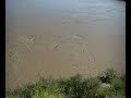 Rio Grande River Flood at Boquillas Rio Grande River Flood at Boquillas