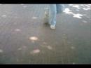Sammy Freestyler & Davy | Groundmoves