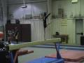 Pixie's Meet Montage ~ Krafft Friendship Cup ~ Level 4 Gymnastics 1/31/09