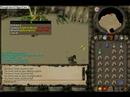 Kalphite Queen Ownage Kalphite Queen Ownage