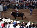 Jaripeo lienzo Charro la Guadalupana, Apaseo el Alto, Gto.