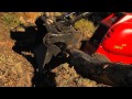 DINGO AUSTRALIA - Corporate Video