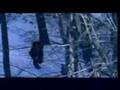 Majda el Romi - Al Hob Wal Wafa
