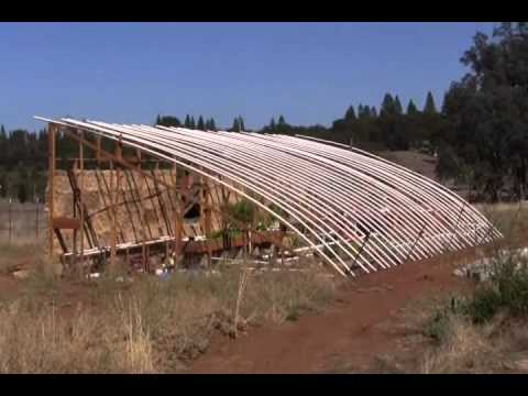 how to grow eggplant in greenhouse