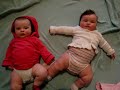 chubby babies
