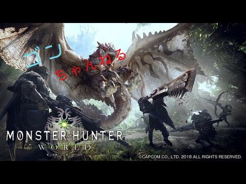 動画