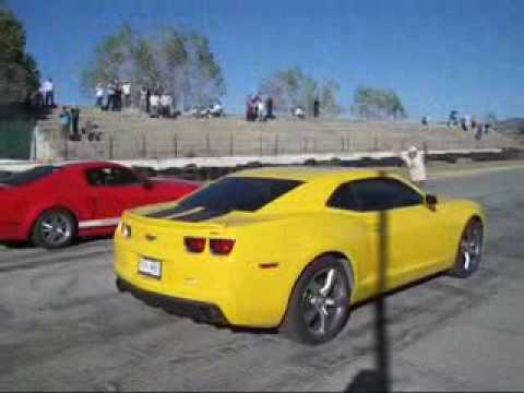 mustan GT