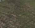videos de Rb00g