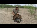 Chris Takes a Nice Gobbler During the Spring 2013 ...