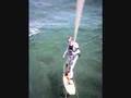Foilboarding Tenerife