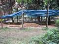videos de Leopard 2A6 RC in my garden - 2