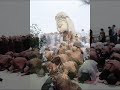 Nam Hai Kwan Yin - Part 2/2