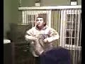raffi 2 step