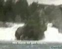 Rheinfall