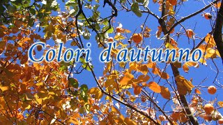 Colori d’autunno (a 432 Hz)