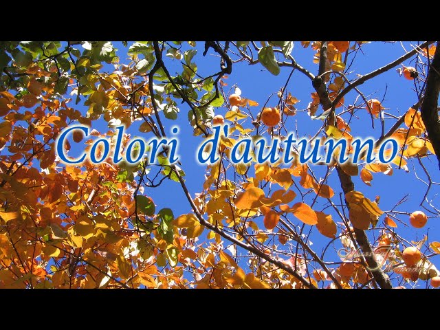 Colori d’autunno (a 432 Hz)