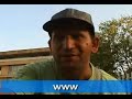 Il Prof Raffica e internet