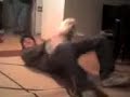 xofi y payaya 3 de 8 xofi y payaya 3 de 8