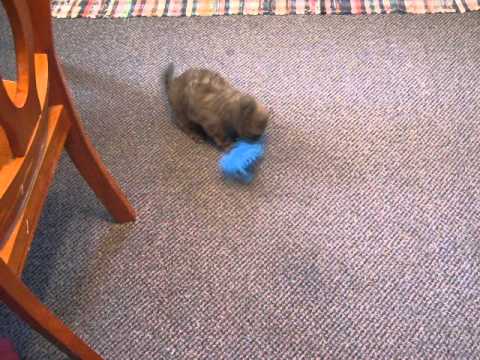 This little darling is so much fun to play with