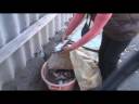 Gildis MicroPlace microfinance borrower.wmv Gildis MicroPlace microfinance borrower.wmv
