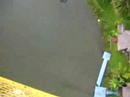 bungy jump