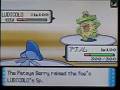 Nbz Vs Serebii Chat Battler - Narrated Pokemon Battle #58