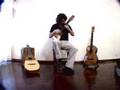 Charango - Patricio Sullivan