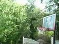 Amazing Basketball Shots (Jawyer Productions)