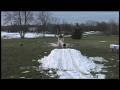 skiing session