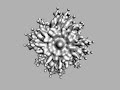 Lsystem Animation
