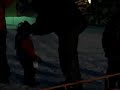Dec 29 2007 - VID00011