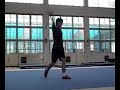 guangzhou wushu team sampler summer 2006