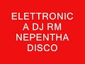DJ RM NEPENTHA 14 ELETTRONICA