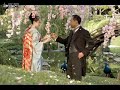 ziyi's movies