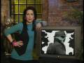 Who Watches the Watchmen? - A Veidt Music Network (VMN) Special - 1983