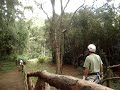 Kim Senecal goes ziplining on the Big Island (Hawaii)
