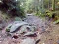 videos de DH le 17 et 25 octobre .wmv